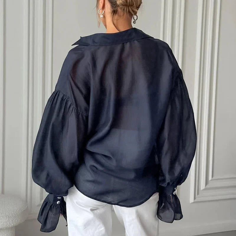 Long Sleeve Sheer Blouse