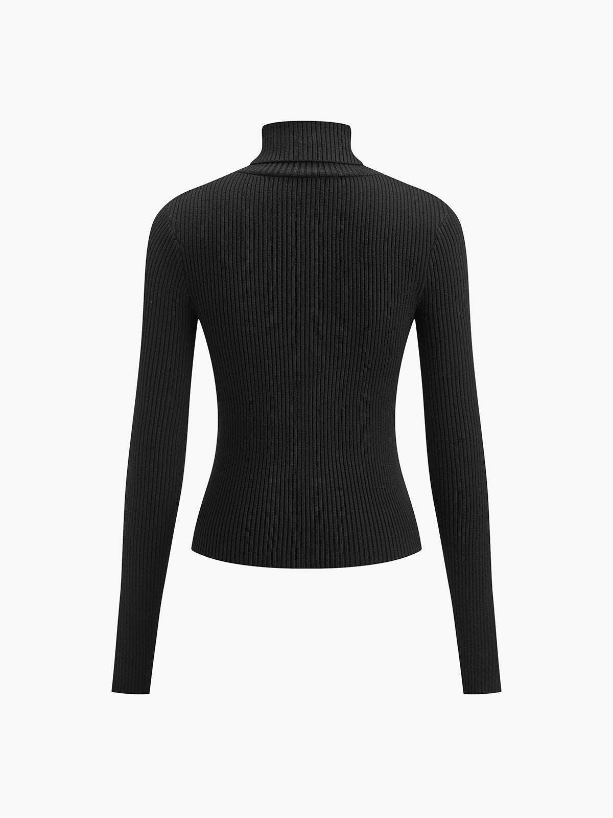 Slim Fit Turtleneck Knit Top