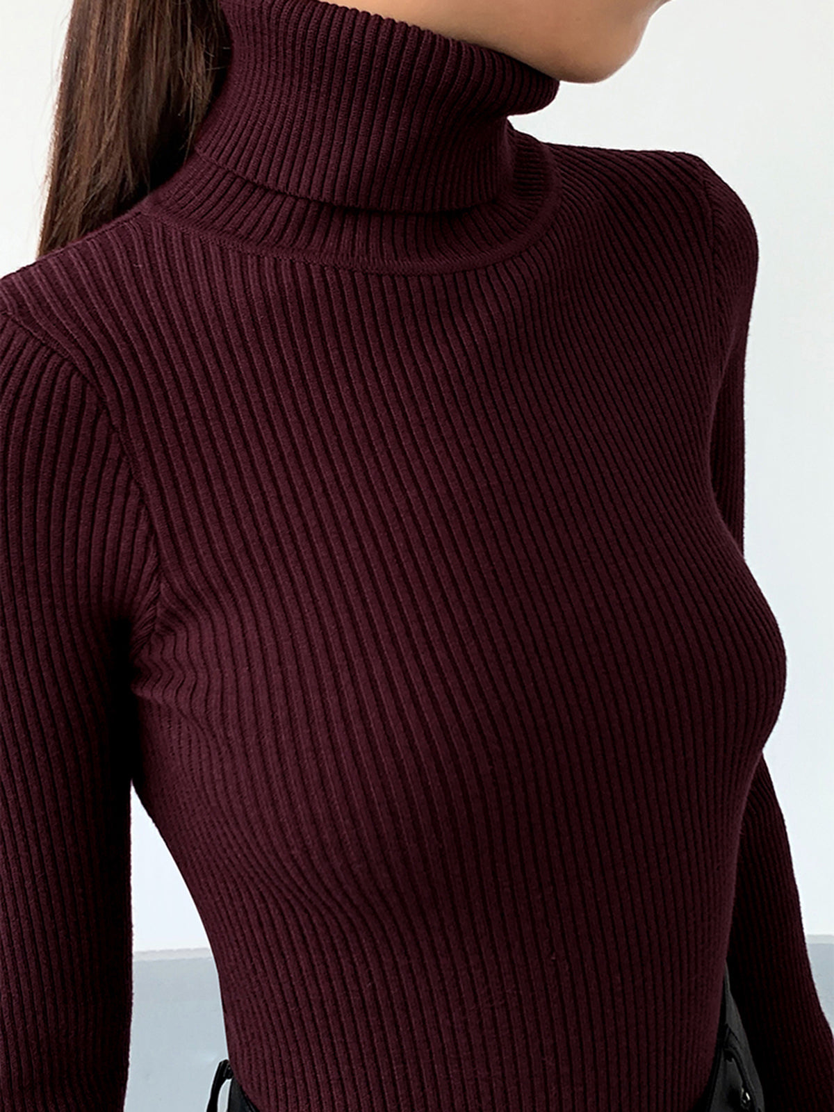 Slim Fit Turtleneck Knit Top