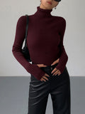 Slim Fit Turtleneck Knit Top