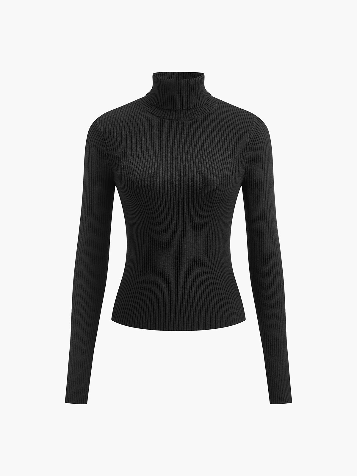 Slim Fit Turtleneck Knit Top